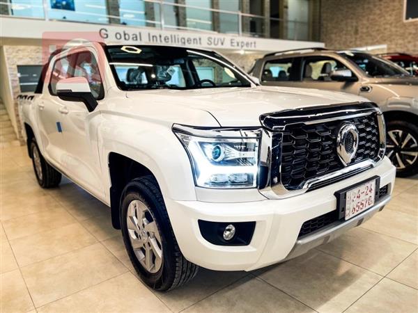 Poer KINGKONG 2024 for sale in Iraq - Duhok
